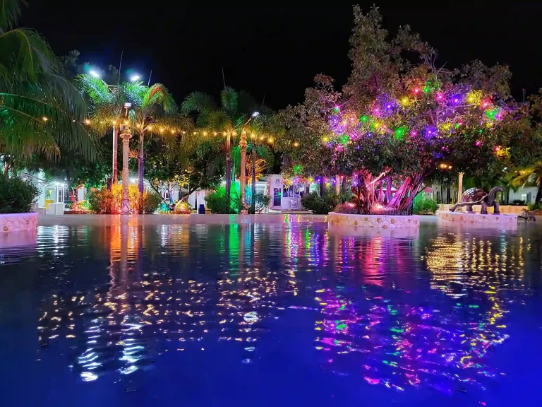 Pacific-Wave-Pool-Night-Swimming